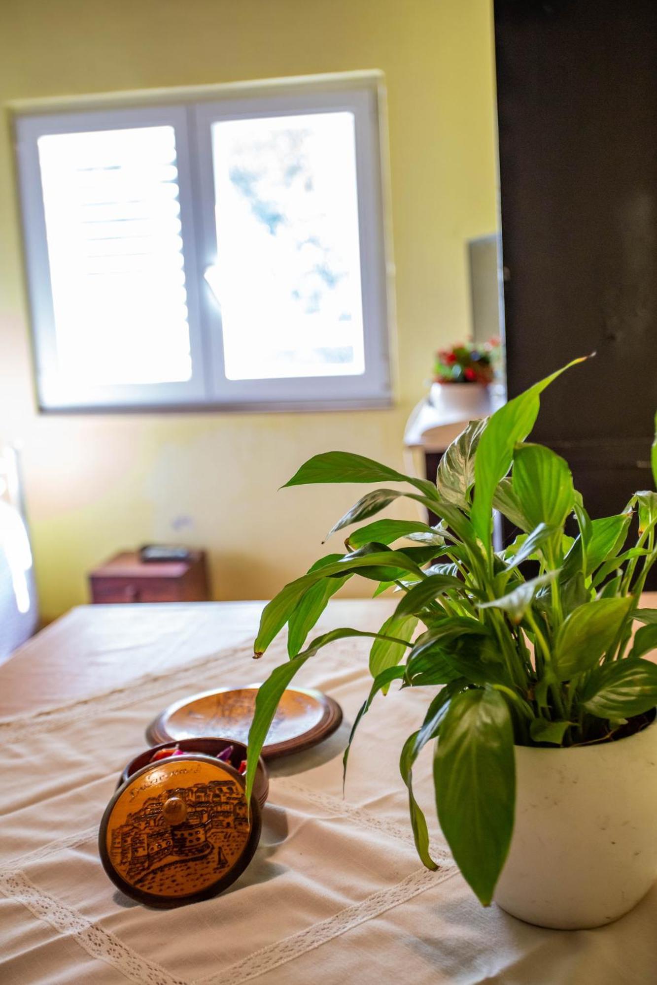 Guest house Anchi